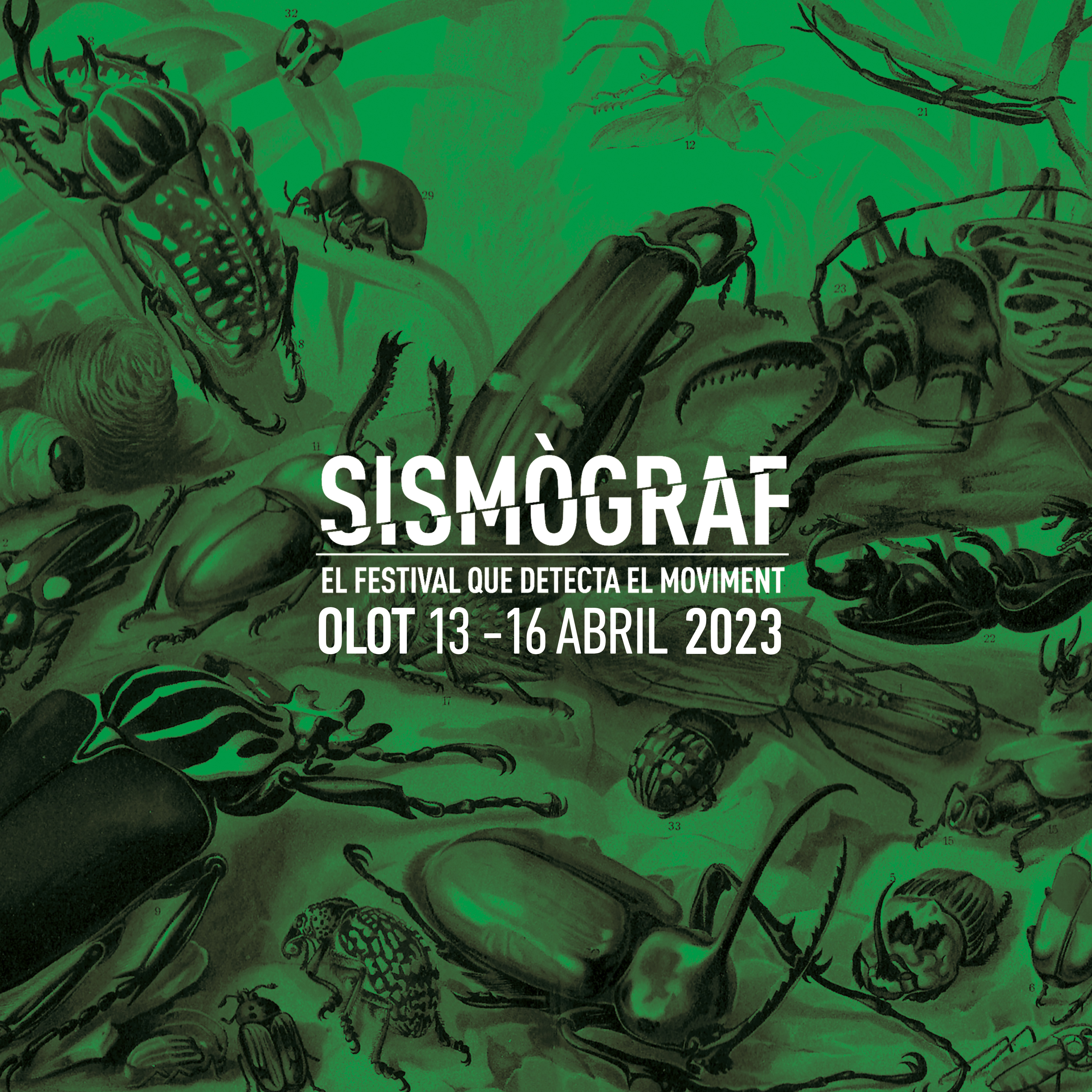 Sismògraf 2022