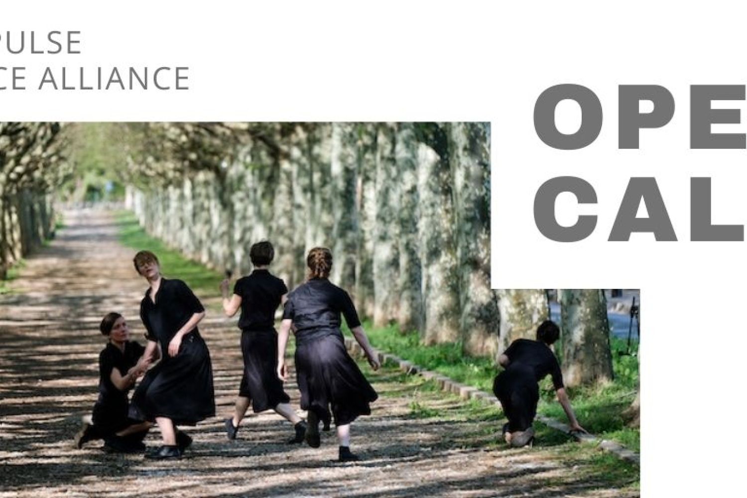 Oberta la convocatòria artística per participar al Big Pulse Dance Alliance