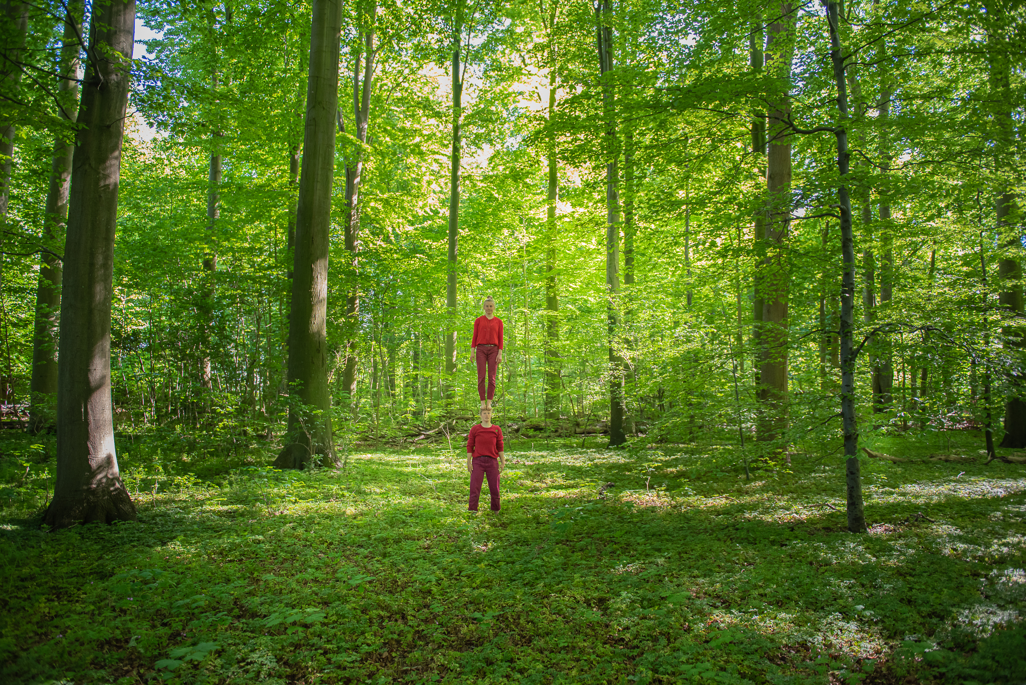 Bark Acting for climate
