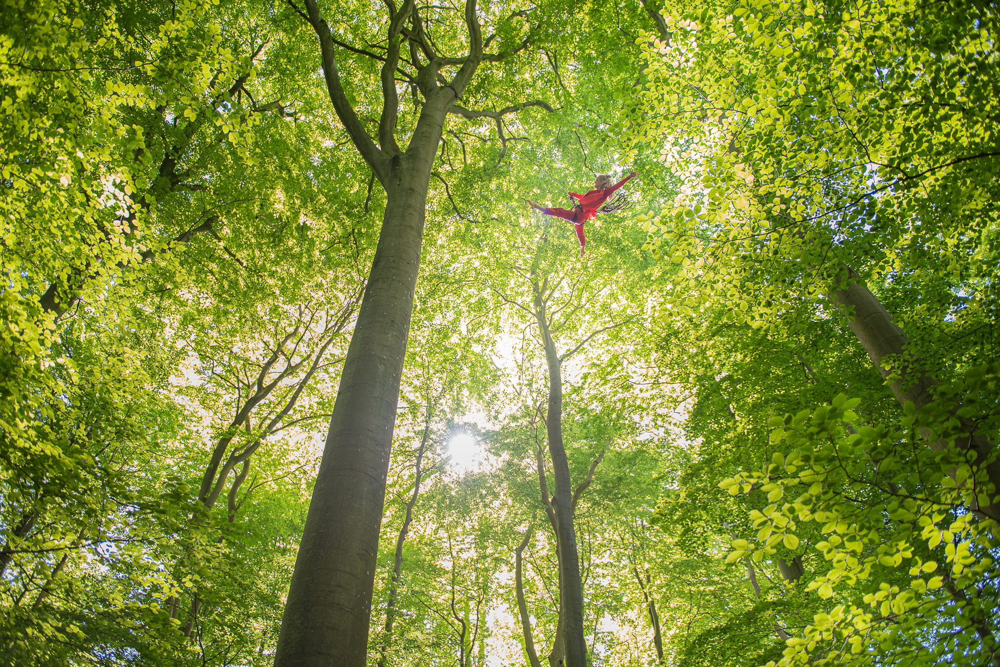 Bark Acting for climate
