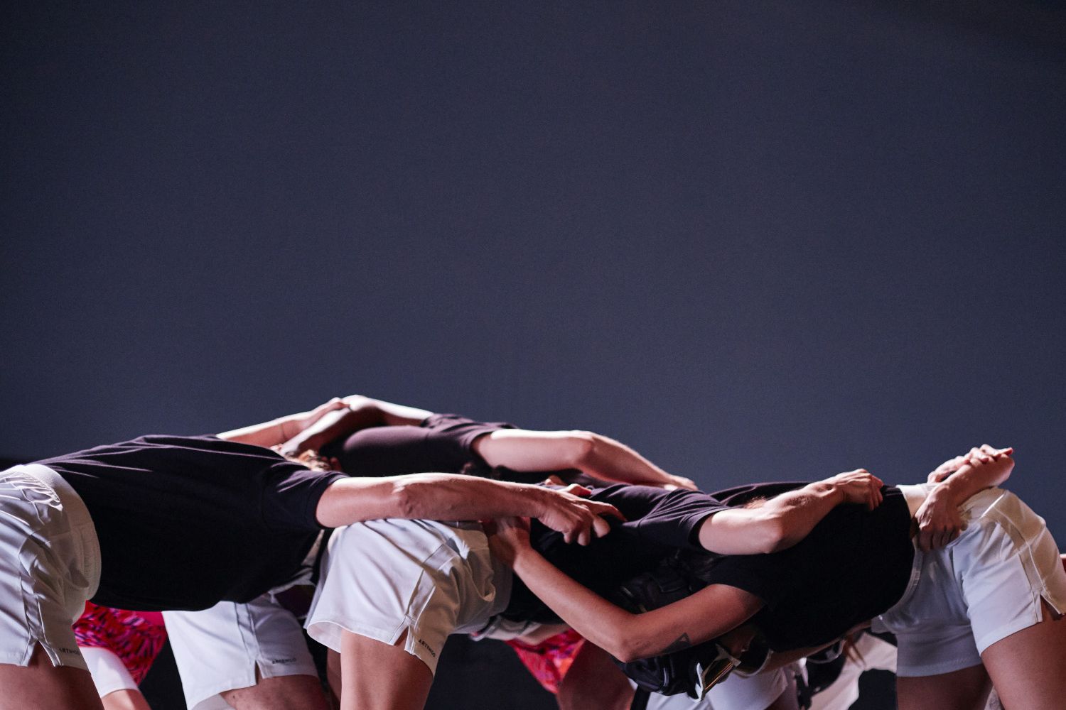 © Leafhopper © Leafhopper