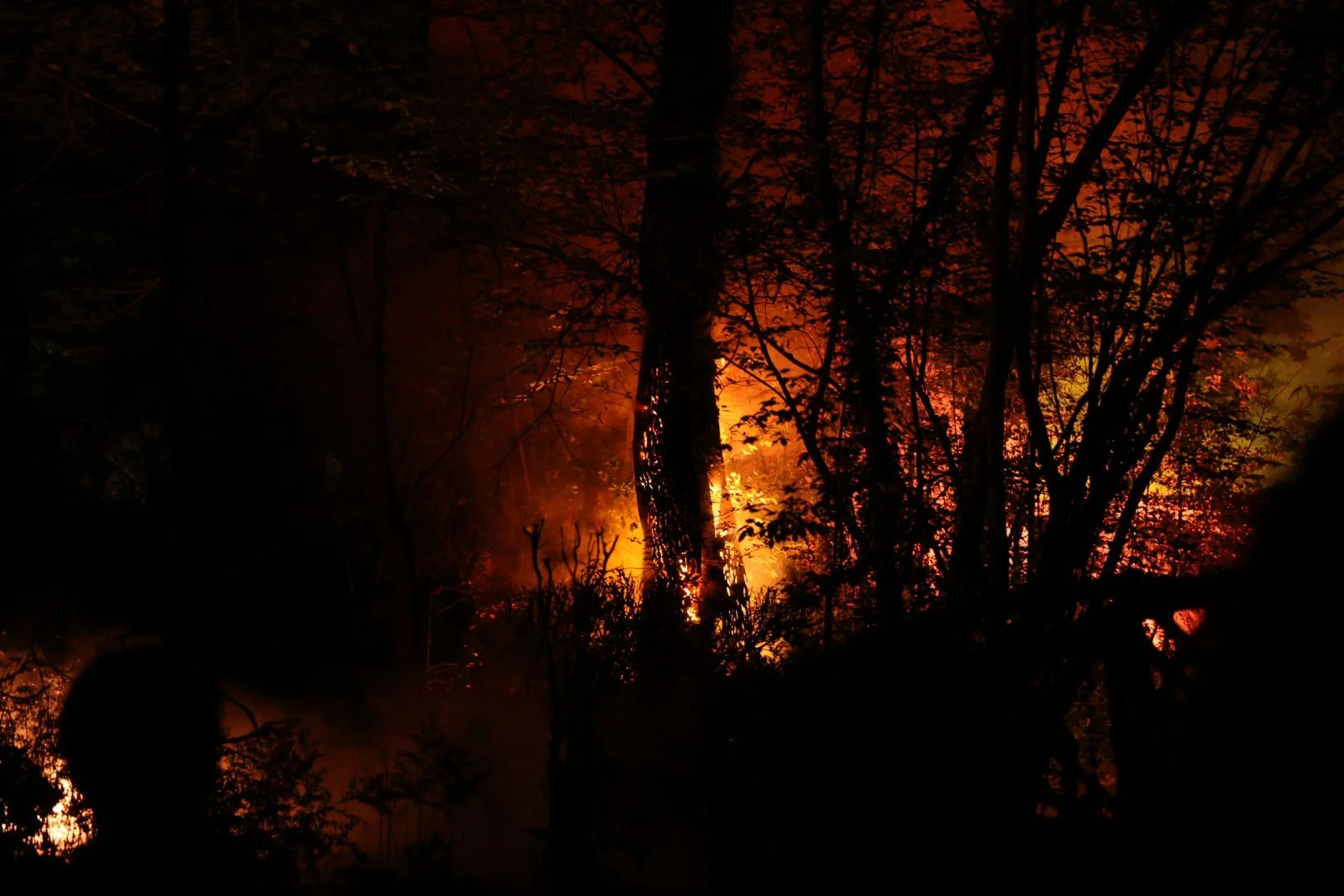 'Incendis' de Ça Marche | © Martí Albesa