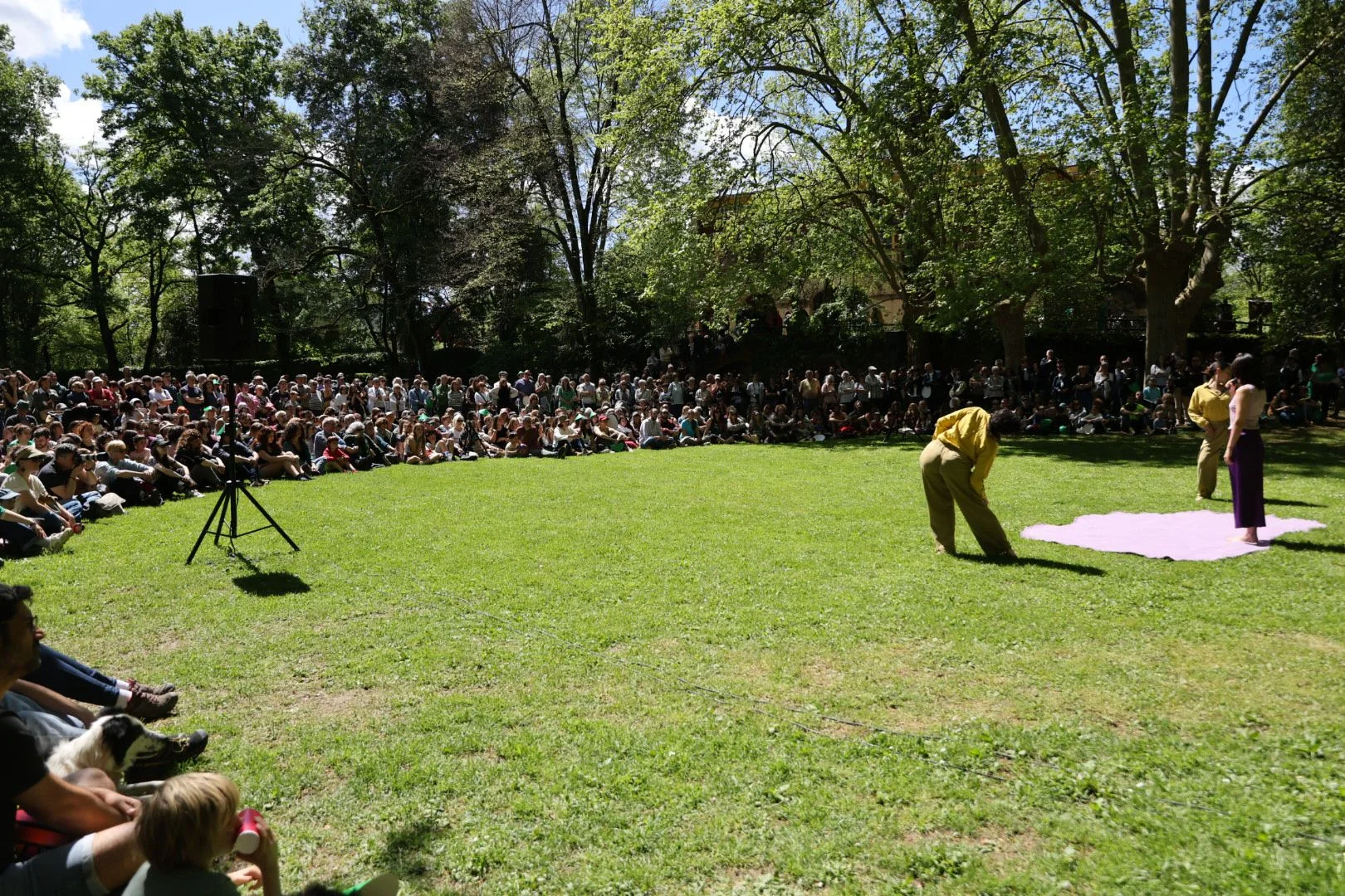 'S'albufera' de Mariona Jaume Camps i Maya Triay Sarasa | © Martí Albesa