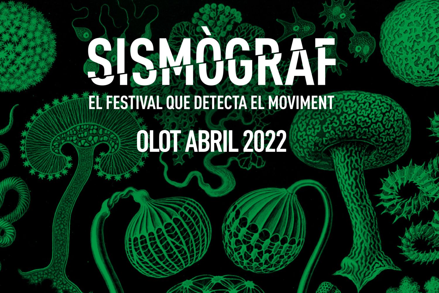 Sismògraf 2022 Sismògraf 2022